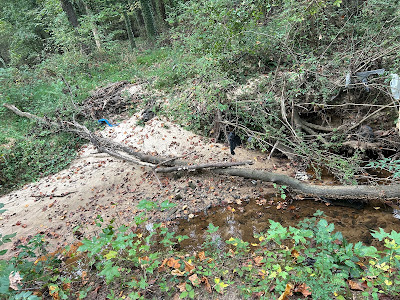 Strategies for Mitigating Risks Associated with Property Damage
