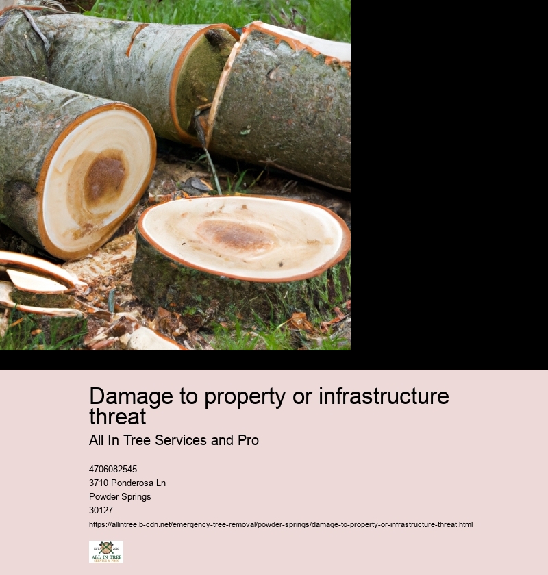 Damage to property or infrastructure threat