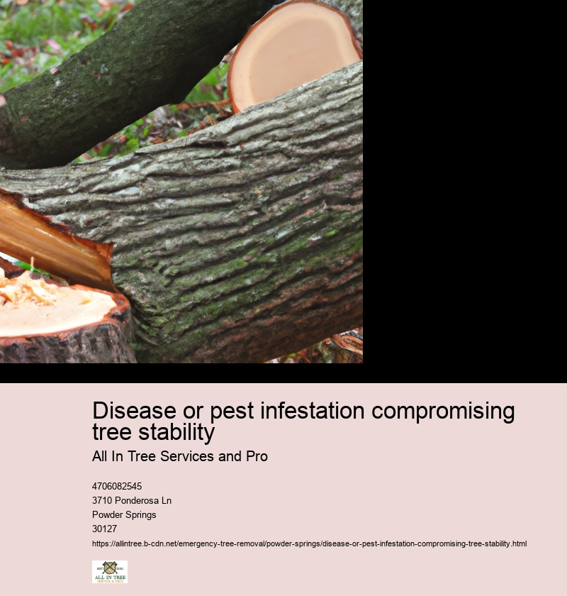 Disease or pest infestation compromising tree stability