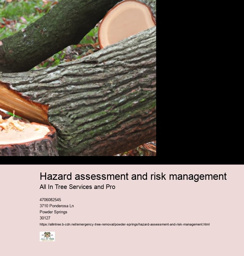 Hazard assessment and risk management