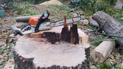 Certified Tree Care Safety Professional (CTSP)