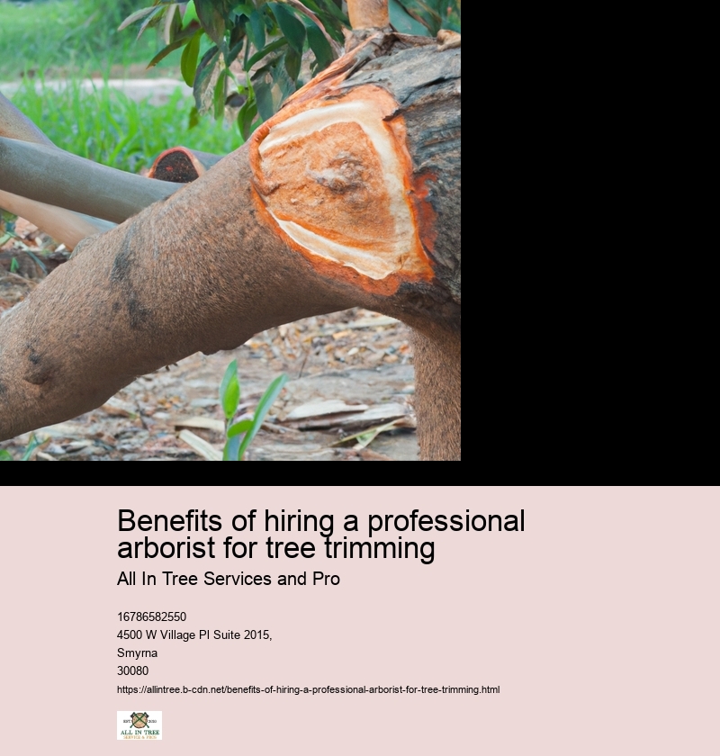 Benefits of hiring a professional arborist for tree trimming