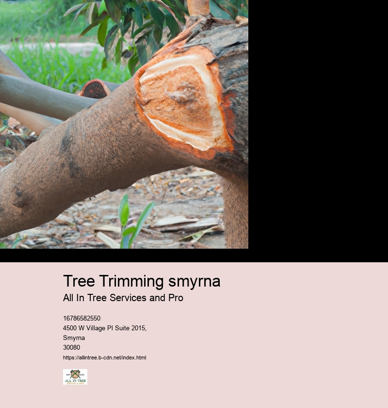 Tree Trimming smyrna