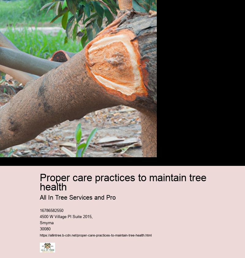 Proper care practices to maintain tree health