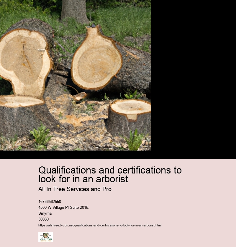 Qualifications and certifications to look for in an arborist
